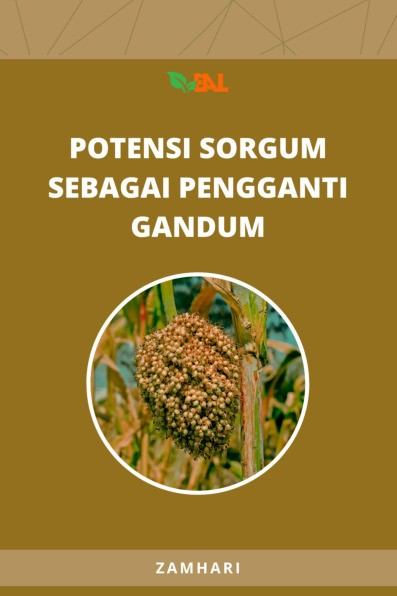 Potensi Sorgum Sebagai Pengganti Gandum